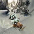 ssx_4