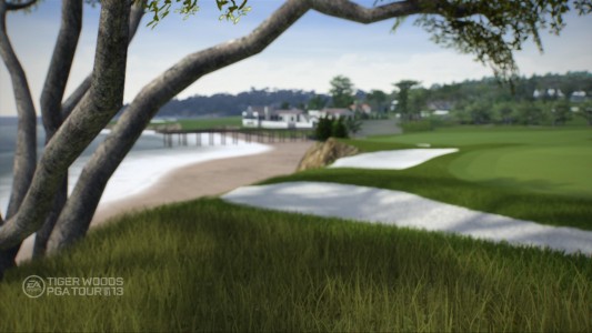 tiger-woods-pga-tour-13_4
