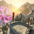ssx_4