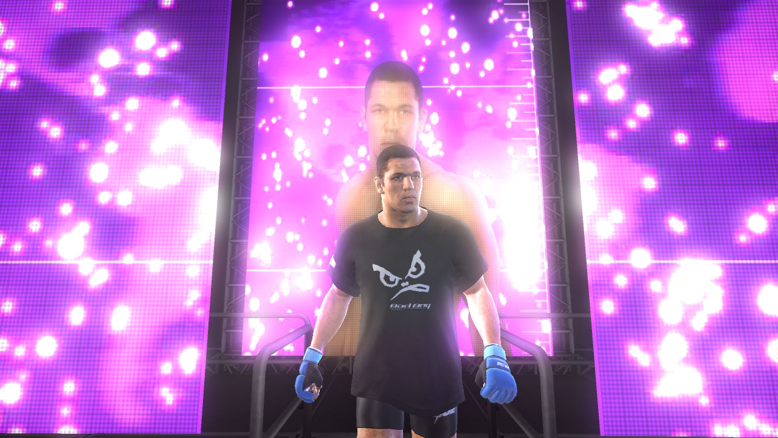 ps3 ufc undisputed 3 ps3 ufc undisputed 3