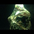 resident-evil-6_14