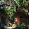 the-last-of-us_4