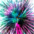 dyad_2