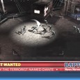dmc_7