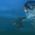 monster-hunter-3-ultimate-3ds_6