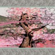 okami-hd_7