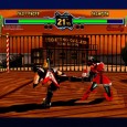 fighting-vipers_5