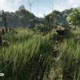 Crysis 3 - Field - 12-6-12 b