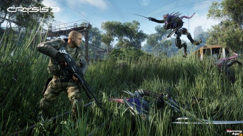 Crysis 3 - Field - 12-6-12 c