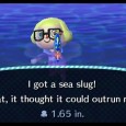 3DS_AnimalCrossingNL_022013_Scrn10
