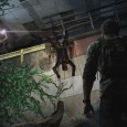 the-last-of-us_ellie boost