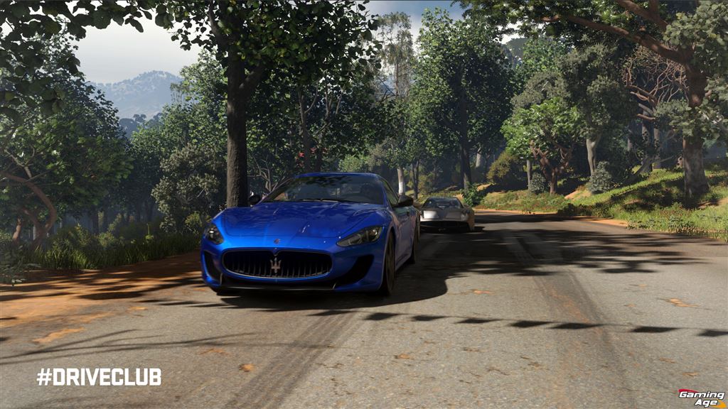 DRIVECLUB_GC_02_1377021464.jpg